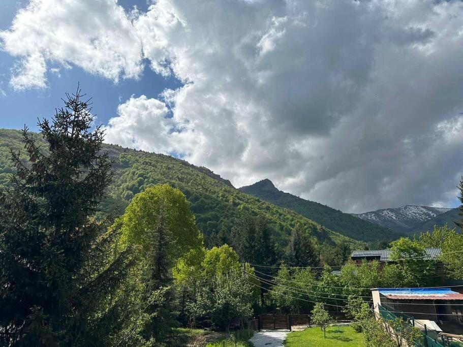 Cosy Mountain Villa In Nizepole Bitola Eksteriør billede